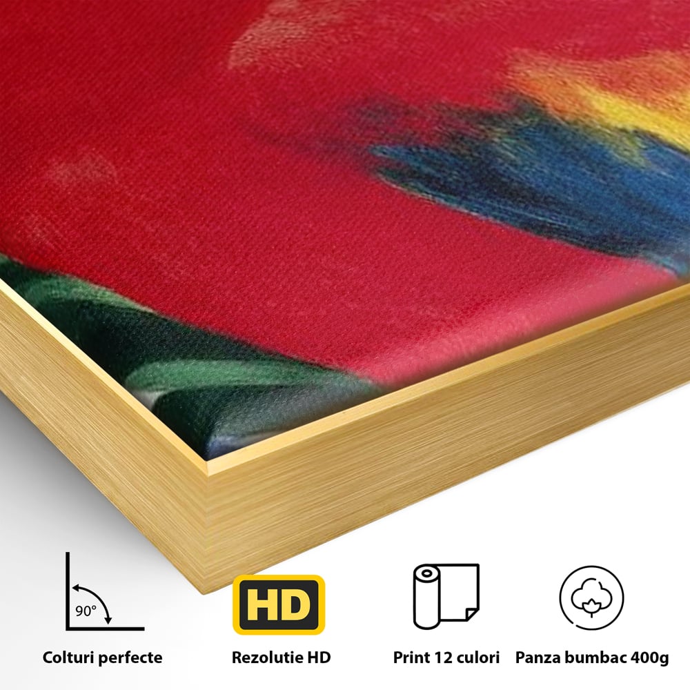 Detaliu al suprafetei: tablou canvas cu papagal rosu, in rama de aluminiu auriu